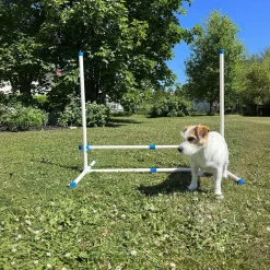 PetEasy Agility|Agility*Koiran agilityestesetti