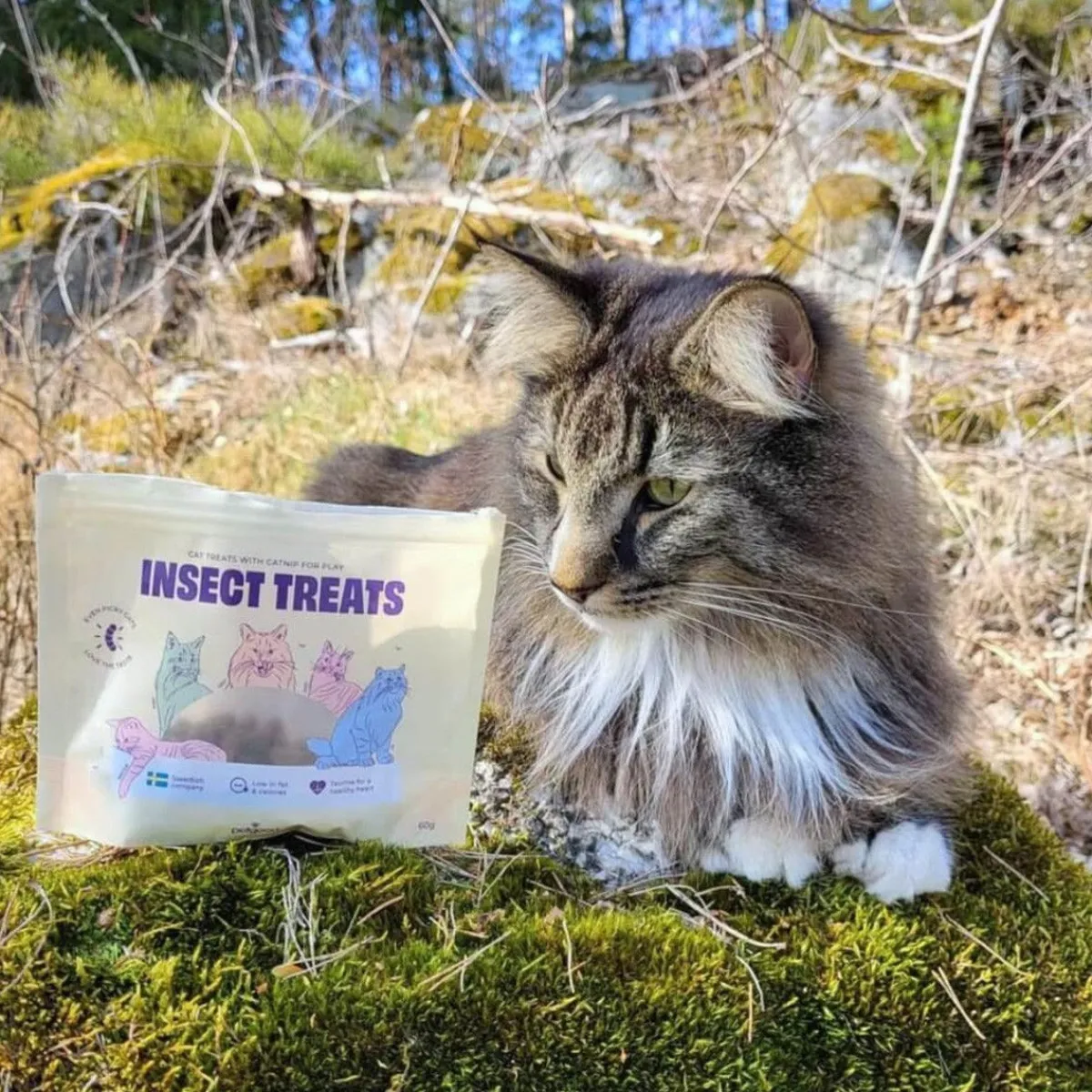 Petgood Funktionaaliset Kissanherkut*hyönteispohjainen kissanherkku 60 g