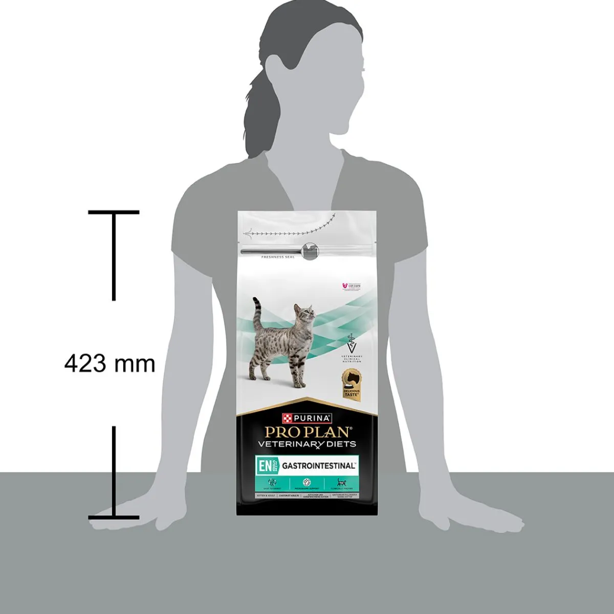 Purina Veterinary Diets Kissan Suolistosairaudet|Kissan Erikoisruoka*PP VD Cat EN Gastrointestinal