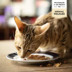 PrimaCat Kissan Märkäruoka|Viljaton Kissanruoka*Classic valuepack 48x85g