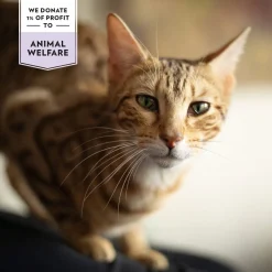 PrimaCat Funktionaaliset Kissanherkut|Uutuudet Kissoille*Prima Cat Crunchy Skin & Coat 40 g