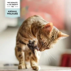PrimaCat Kissan Märkäruoka|Kissan Keitot*Tonnikalaa liemessä
