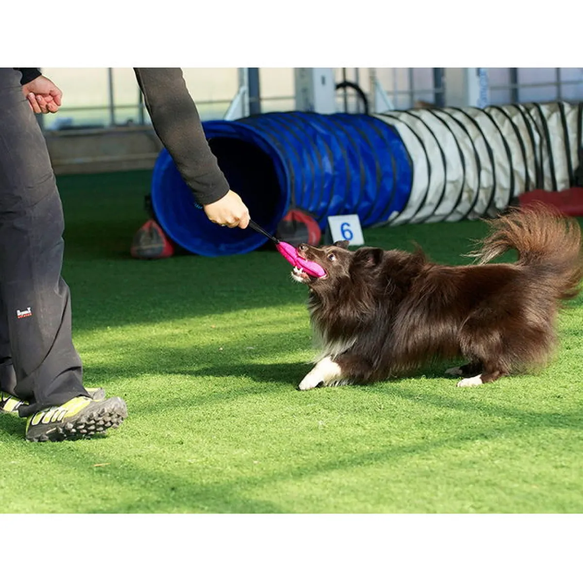 Pro Dog Dummyt|Igp*Bright patukka pehmeä, pinkki