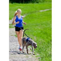 Pro Dog Koiran Hihnat Ja Flexit|Retkeily Koiran Kanssa*Handsfree setti
