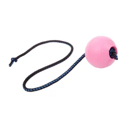 Pro Dog Koiran Vesilelut|Koiran Pallot Ja Heittolelut*Soft Rubber narupallo 60cm Turkoosi