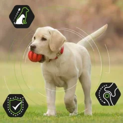 Purina Pro Plan Penturuoka|Koiran Kuivaruoka*Pro Plan Large Puppy Athletic