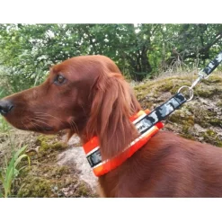 Kardog Koiran Pannat*Puolikiristävä leveä panta Hilma, oranssi