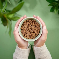 Purenatural Kissan Kuivaruoka|Kotimainen Kissanruoka*Cat Adult Grain Free Turkey & Chicken