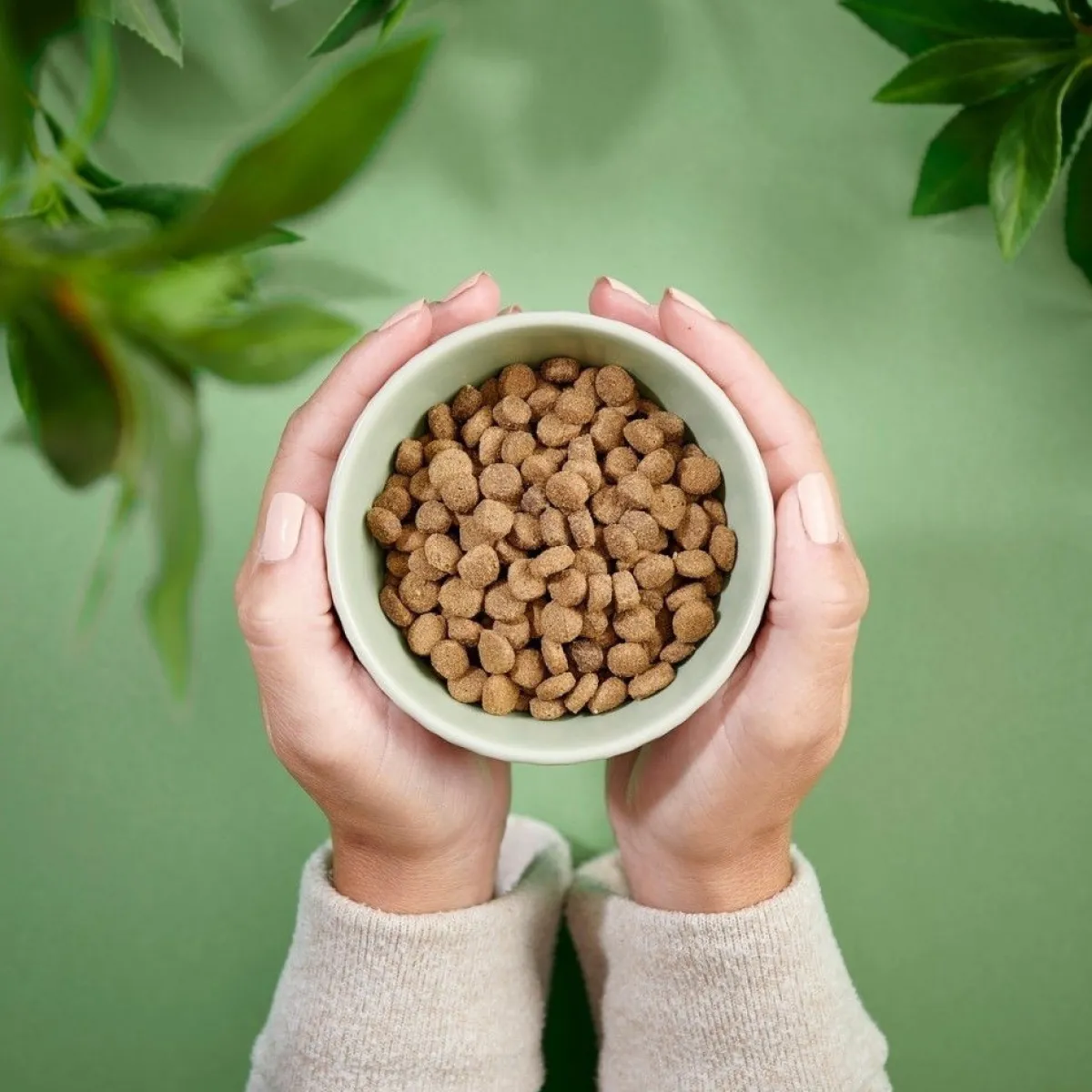 Purenatural Viljaton Kissanruoka|Kissan Kuivaruoka*Cat Grain Free Sterilised Chicken