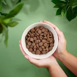 Purenatural Koiran Kuivaruoka|Koiran Kuivaruoka*Dog Adult Grain Free Salmon