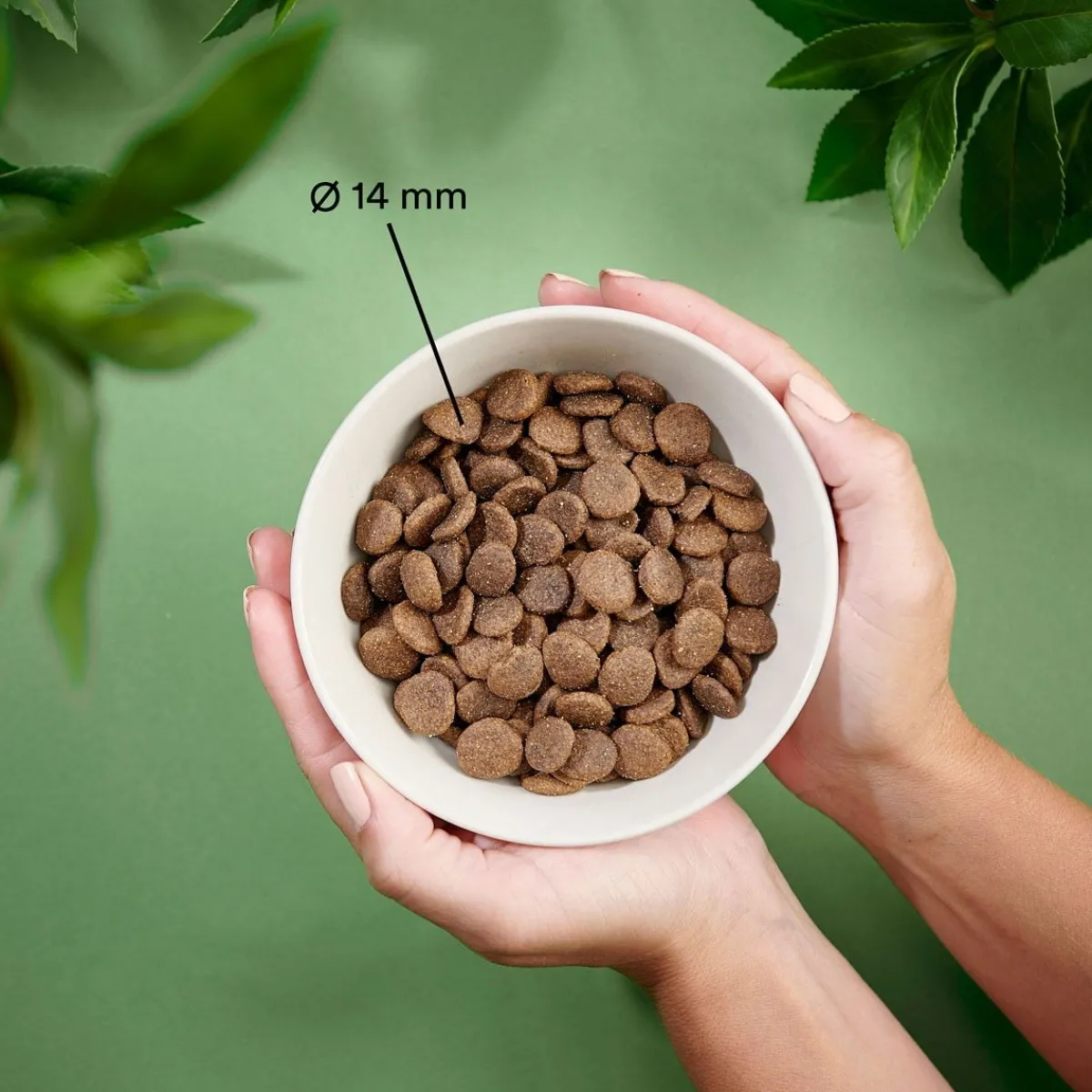 Purenatural Koiran Kuivaruoka|Kotimainen Koiranruoka*Dog Adult Grain Free Lamb
