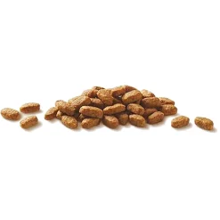 Purina ONE Kissan Kuivaruoka*Cat Adult lohi
