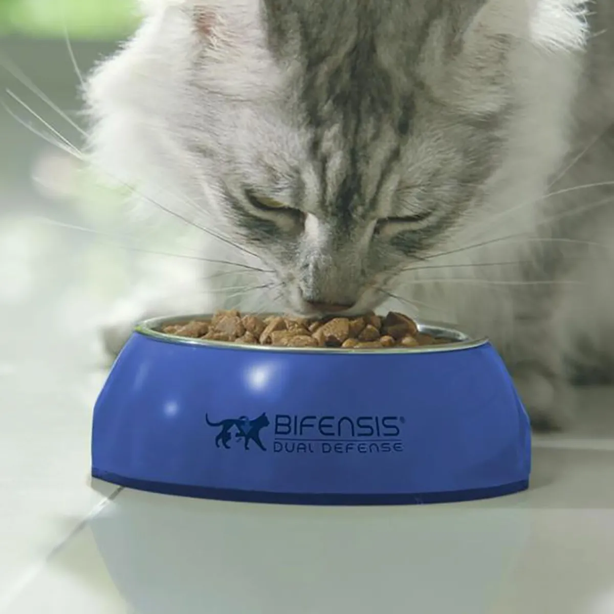 Purina ONE Kissan Kuivaruoka|Kissan Erikoisruoat*Sterilized Cat nauta 2,8 kg