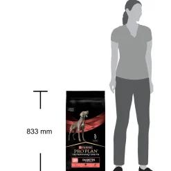 Purina Veterinary Diets Koiran Diabetes|Koiran Eläinlääkäriruoka*Purina Pro Plan Veterinary Diets Dog DM 12kg