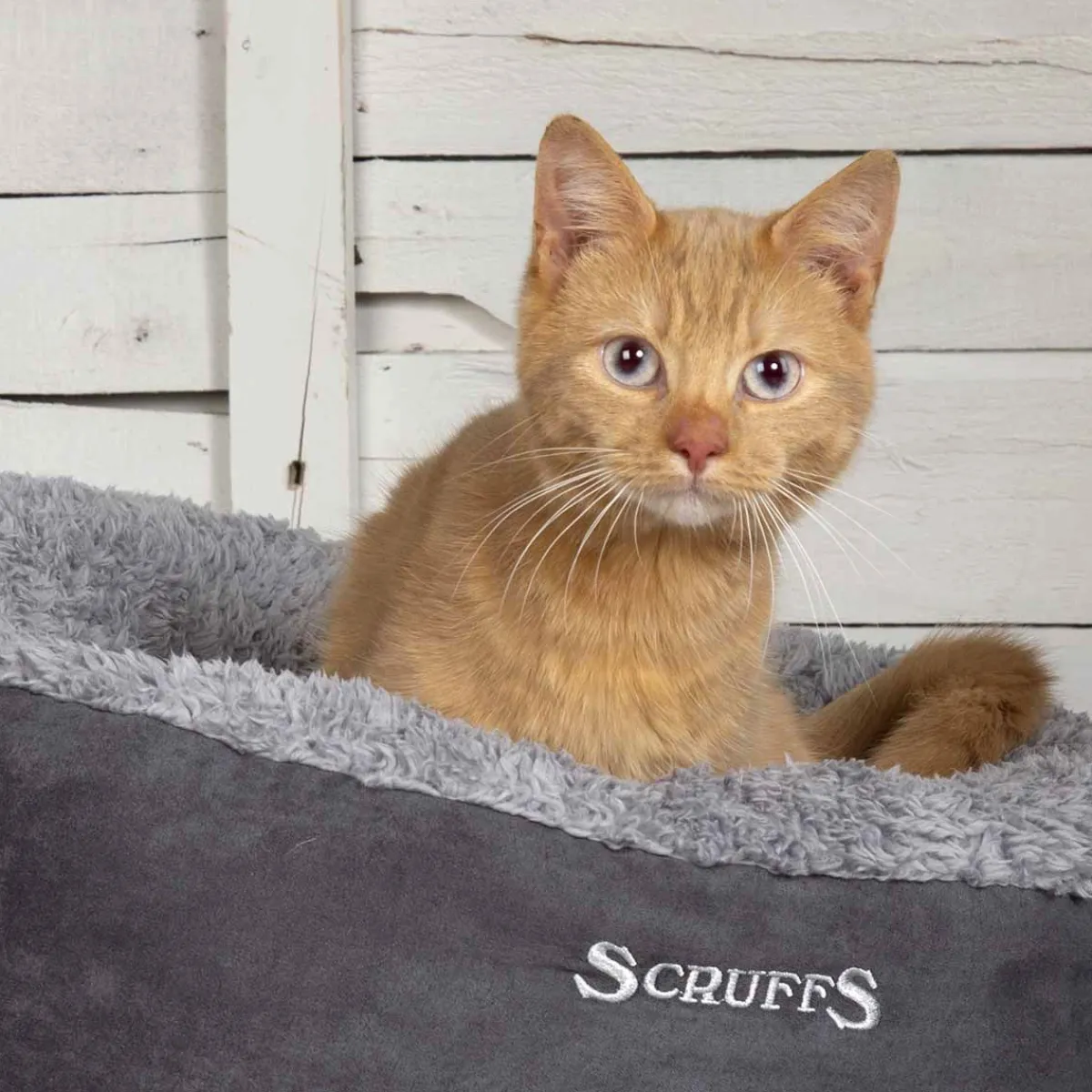 Scruffs Koiran Pedit Ja Alustat|Koiran Pedit*Pyöreä peti Cosy Harmaa