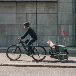 Thule Lemmikkirattaat|Matkustaminen*Pyöräkärry koiralle Bexey