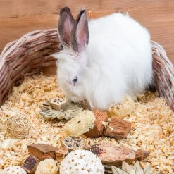 Quapas! Marsun Lelut|Chinchillan Lelut*Puuhalelulahjalaatikko, tähdet