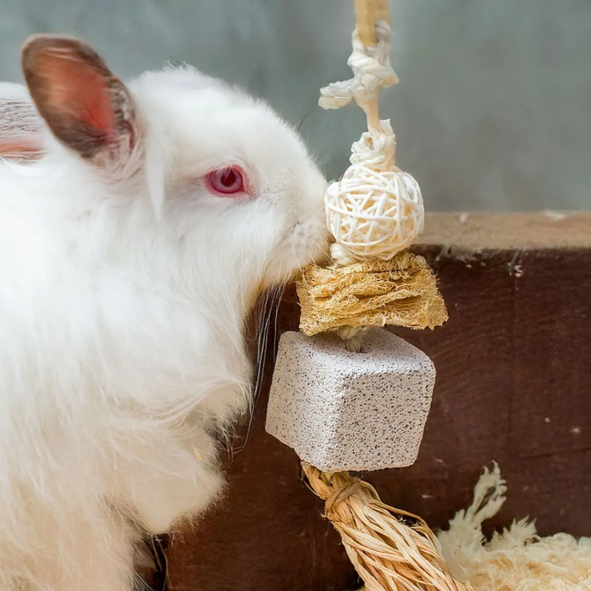 Quapas! Pieneläinten Lelut|Kanin Lelut*Rodent Natural 1, pieneläimen puuhalelu