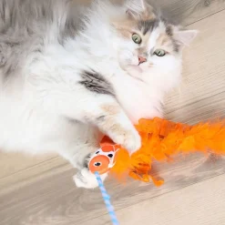 Quirky Kitty Kissanhuiskat Ja -Onget*kissanonki koikarppi