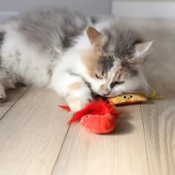 Quirky Kitty Kissanminttulelut*Ramen 2 kpl