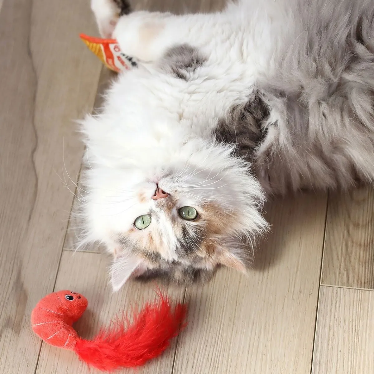 Quirky Kitty Kissanminttulelut*Ramen 2 kpl