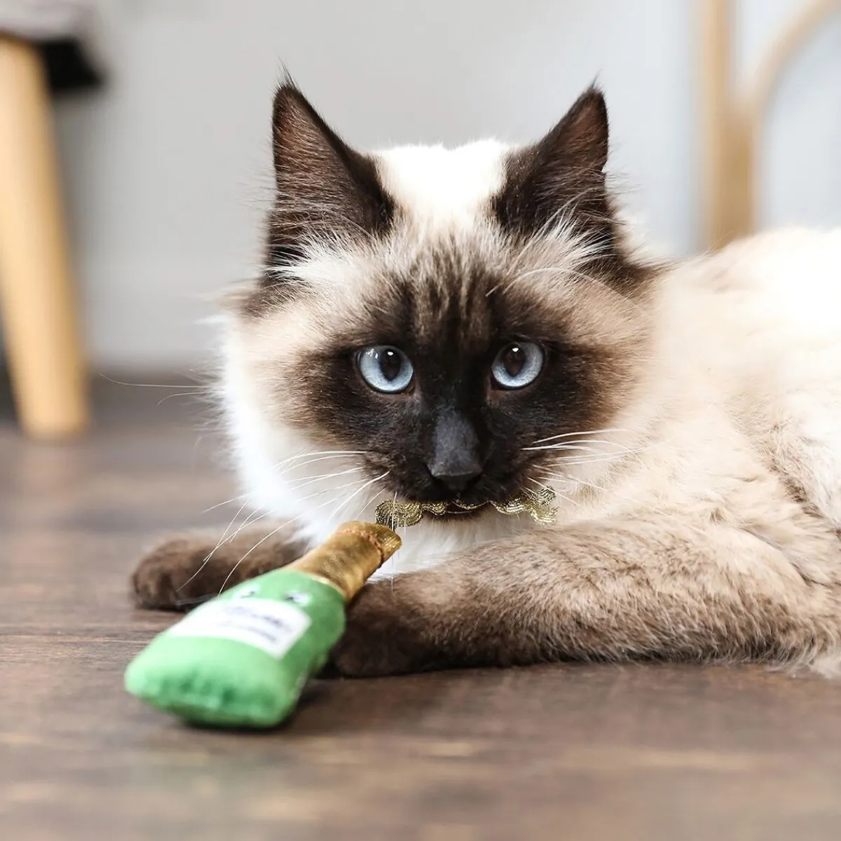 Quirky Kitty Kissanminttulelut*Viini & Juusto Kissanminttulelut