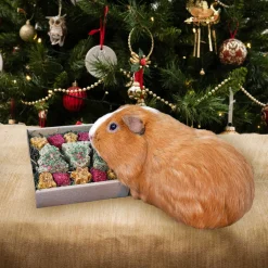 Rosewood Marsun Herkut|Kanin Herkut*Festive Cookies Forage Tray 170g