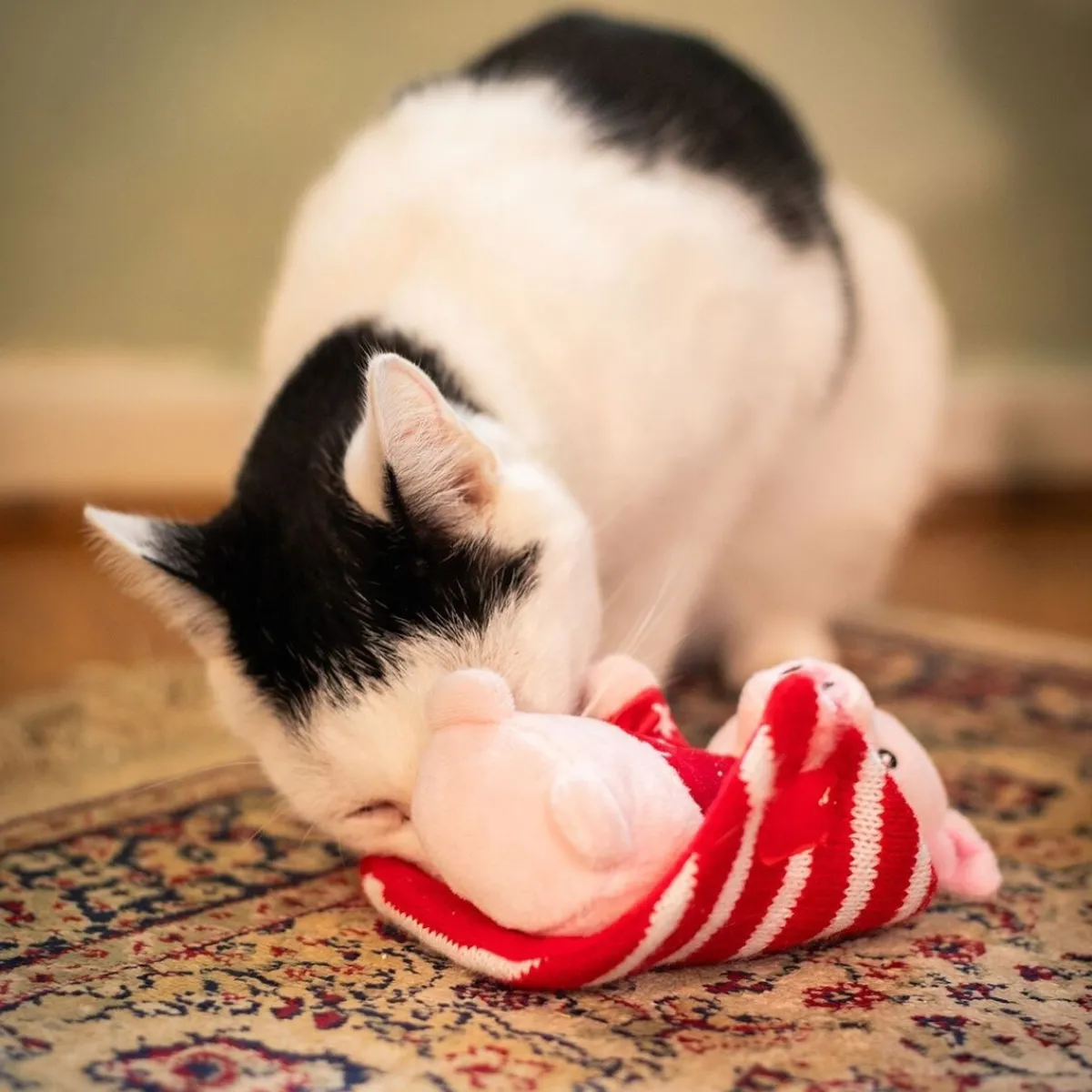 Rosewood Kissan Pelit Ja Aktivointilelut|Kissan Joululelut*Penny Pig in Blanket Toy