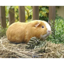 Rosewood Kanin Herkut|Hamsterin Herkut*Veggie Burst Nibble Leaves
