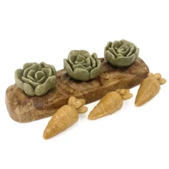 Rosewood Kanin Herkut|Hamsterin Herkut*Veggie Burst Salad Patch