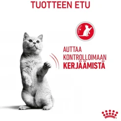 Royal Canin Vähärasvainen Kissanruoka|Kissan Kuivaruoka*Appetite Control Care