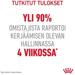 Royal Canin Vähärasvainen Kissanruoka|Kissan Kuivaruoka*Appetite Control Care