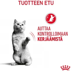 Royal Canin Kissan Märkäruoka*Appetite Control Care Gravy 12 x 85 g