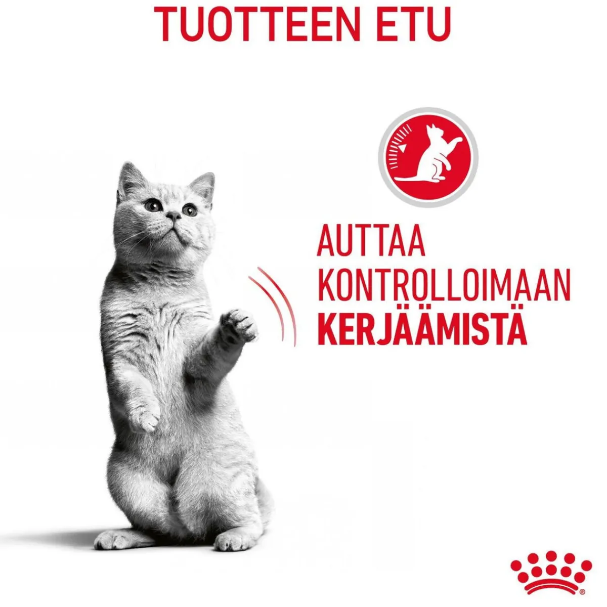 Royal Canin Kissan Märkäruoka*Appetite Control Care Gravy 12 x 85 g
