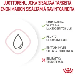 Royal Canin Kissan Märkäruoka|Kissanpennun Ruoka*Babycat Milk, 300 g