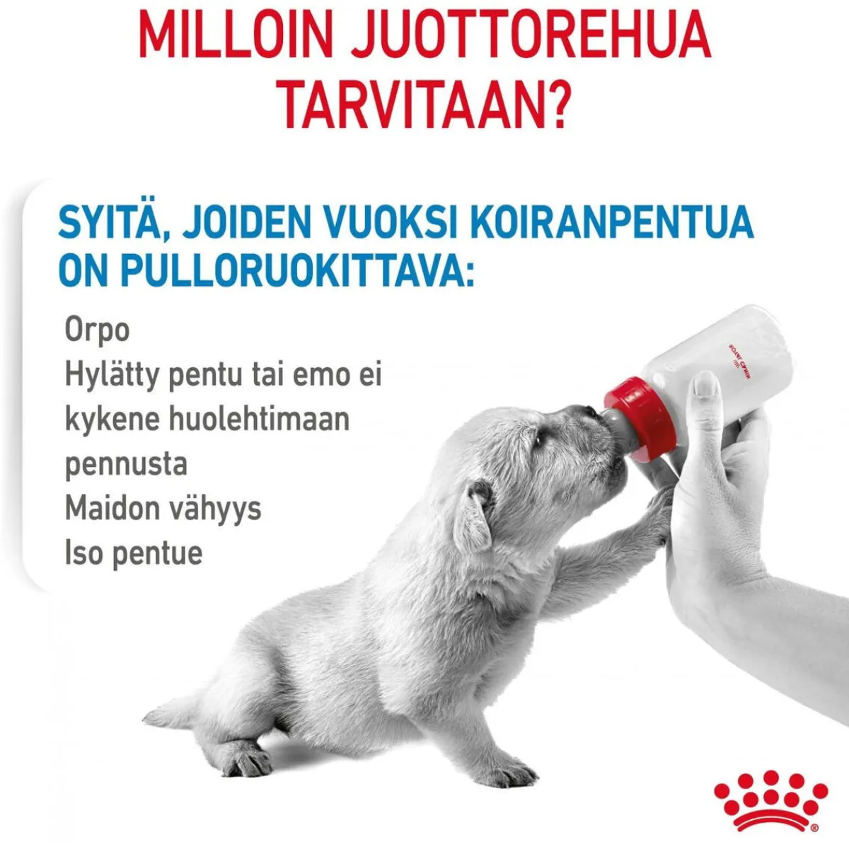 Royal Canin Penturuoka|Koiran Kuivaruoka*Babydog Milk