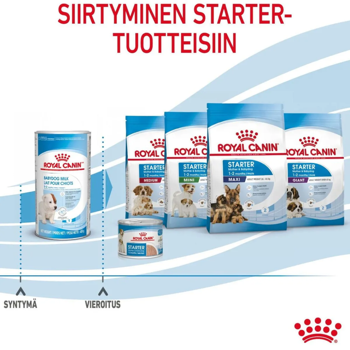 Royal Canin Penturuoka|Koiran Kuivaruoka*Babydog Milk
