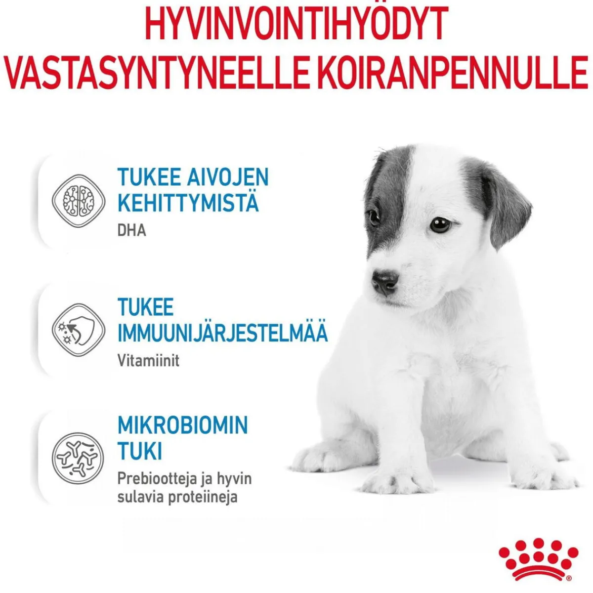 Royal Canin Penturuoka|Koiran Kuivaruoka*Babydog Milk
