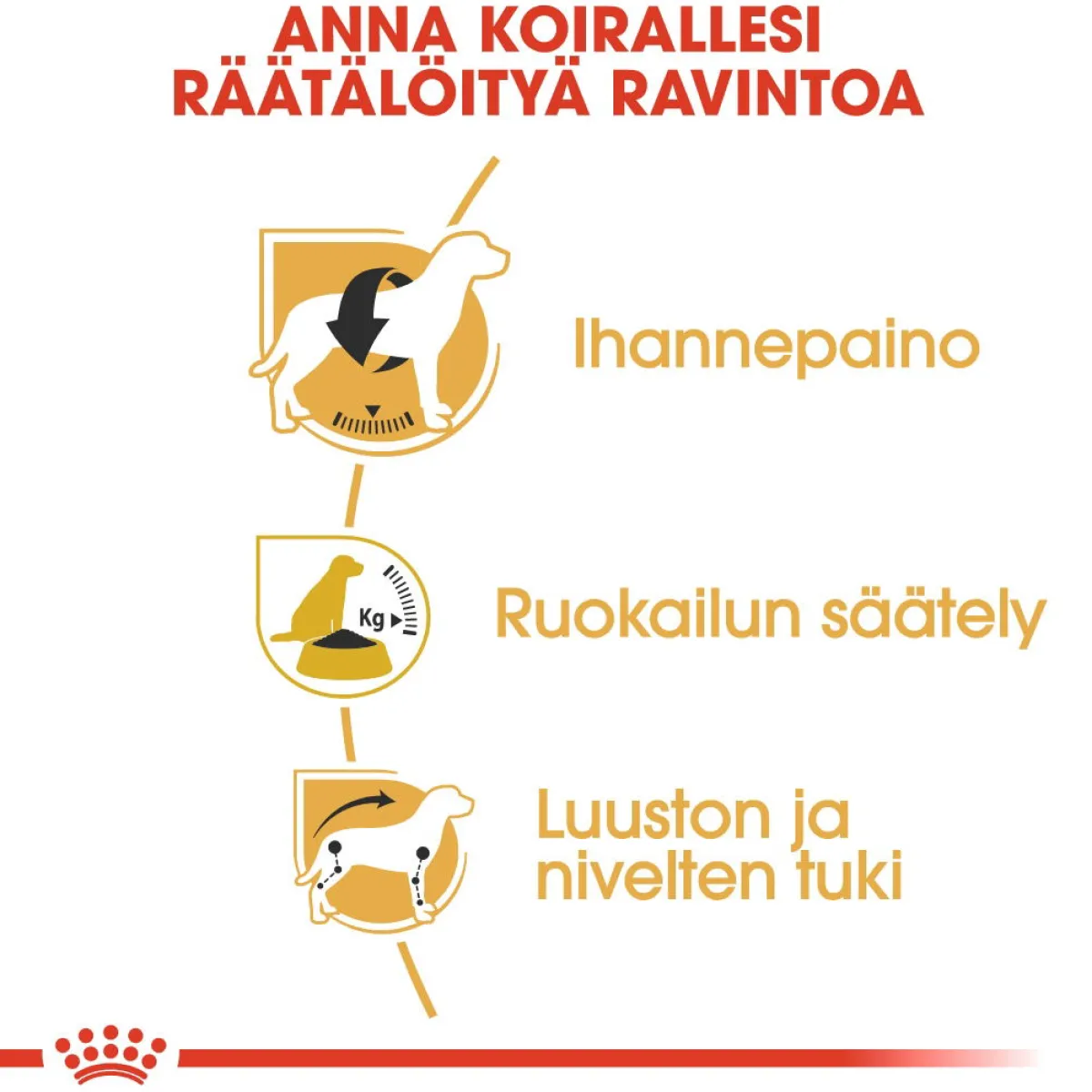 Royal Canin Koiran Kuivaruoka|Tarjoukset Koirille*Beagle Adult 12 kg
