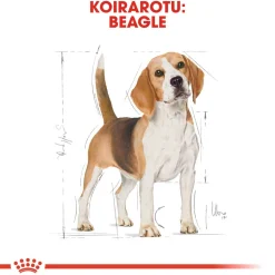 Royal Canin Koiran Kuivaruoka|Tarjoukset Koirille*Beagle Adult 12 kg
