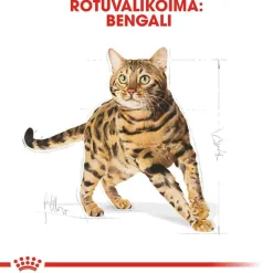 Royal Canin Tarjoukset Kissoille|Kissan Kuivaruoka*Bengal