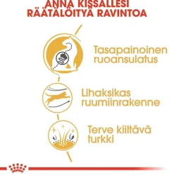 Royal Canin Tarjoukset Kissoille|Kissan Kuivaruoka*Bengal