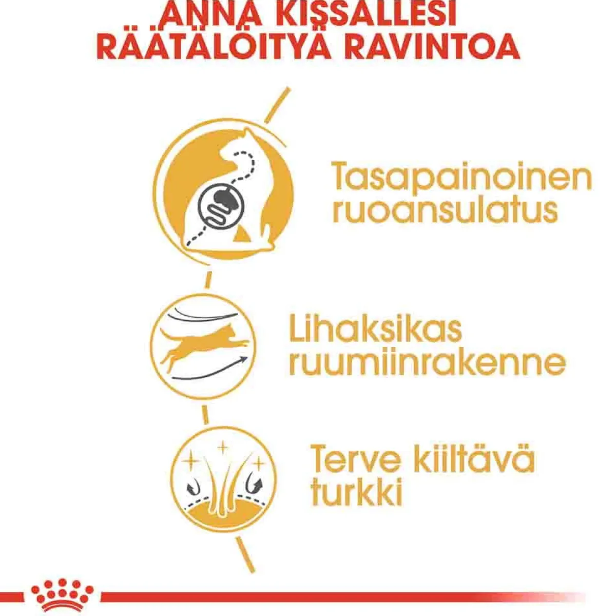Royal Canin Tarjoukset Kissoille|Kissan Kuivaruoka*Bengal