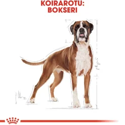 Royal Canin Koiran Kuivaruoka|Tarjoukset Koirille*Boxer Adult 12 kg