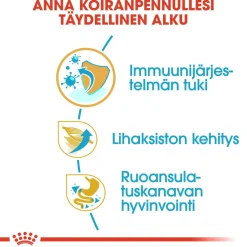 Royal Canin Penturuoka|Koiran Kuivaruoka*Boxer Puppy 12 kg