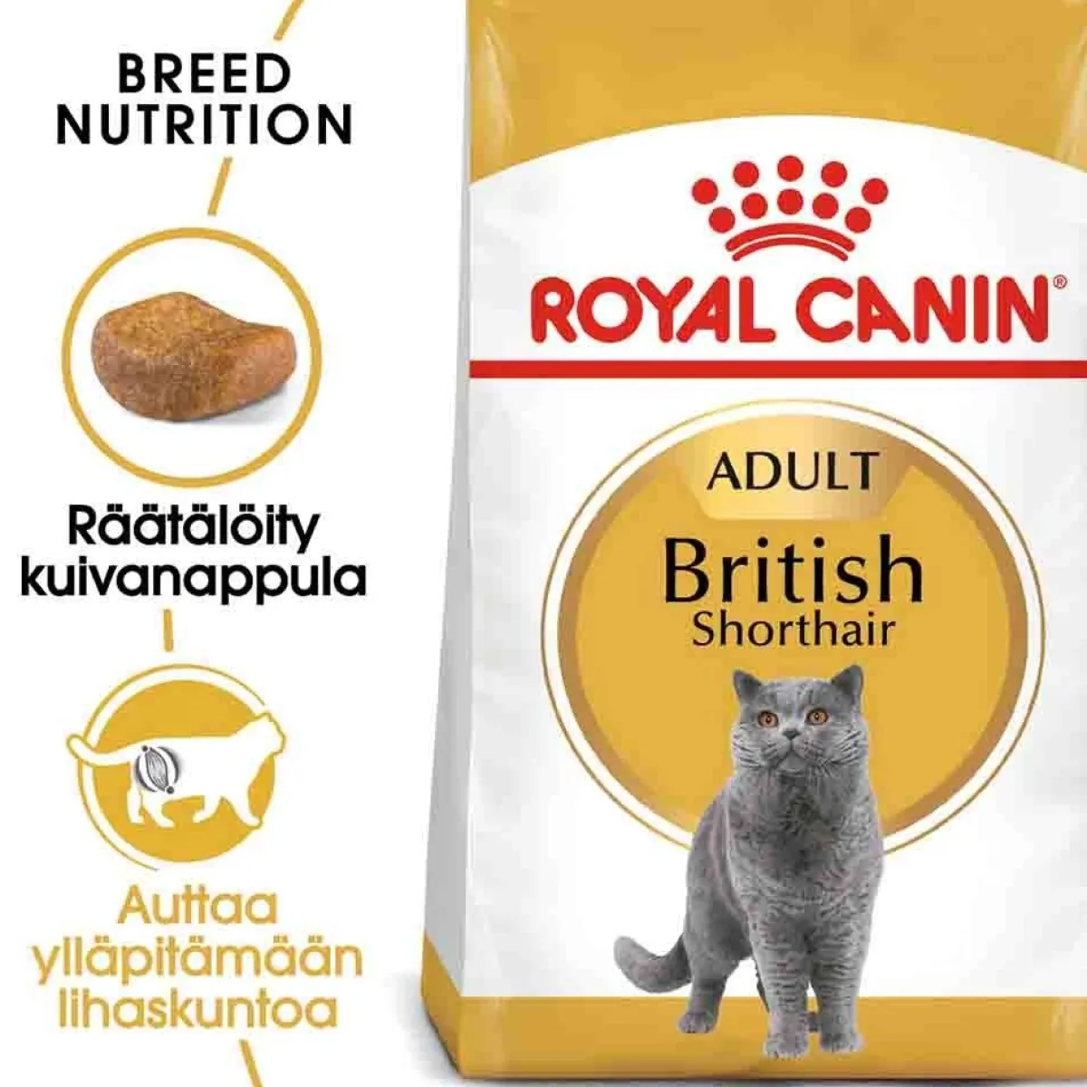 Royal Canin Tarjoukset Kissoille|Kissan Kuivaruoka*Breed British Shorthair