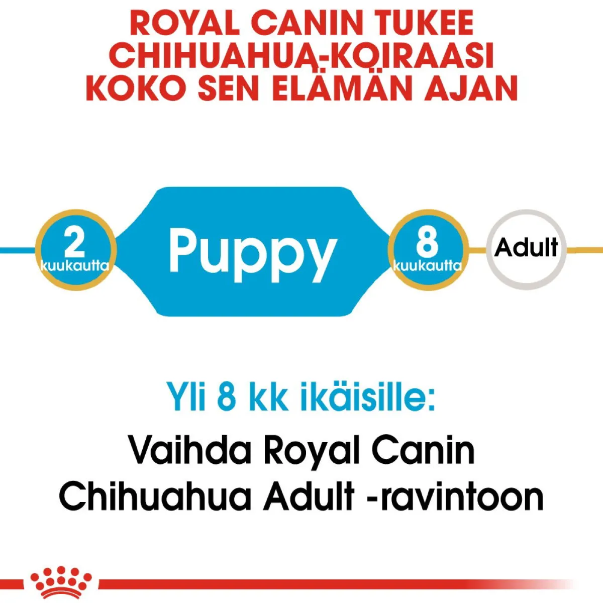Royal Canin Penturuoka|Koiran Kuivaruoka*Breed Chihuahua Puppy
