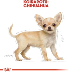 Royal Canin Penturuoka|Koiran Kuivaruoka*Breed Chihuahua Puppy