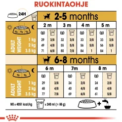 Royal Canin Penturuoka|Koiran Kuivaruoka*Breed Chihuahua Puppy