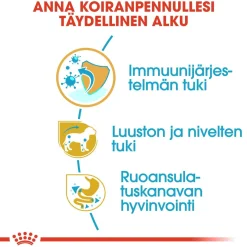 Royal Canin Penturuoka|Koiran Kuivaruoka*Breed Dachshund Puppy 1,5 kg